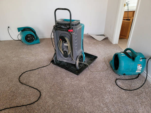 Carpet water damage restoration in OR
