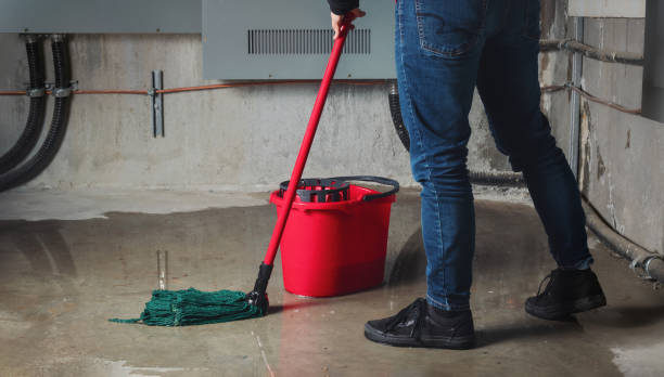 Best Water damage contractors near me  in Eagle Crest, OR